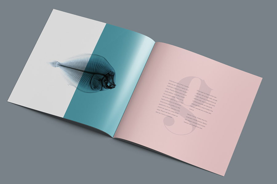 Mockup square brochure free Idea