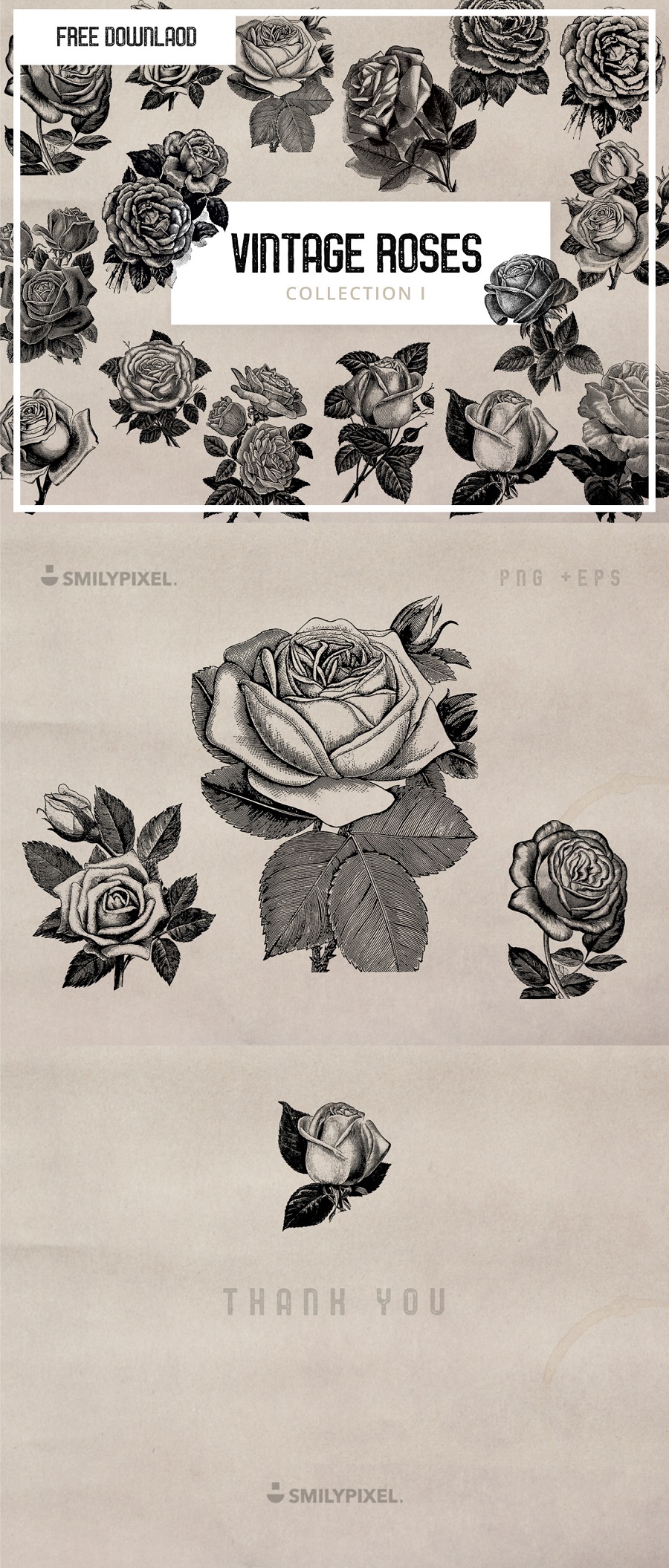 Free Vintage Roses Illustration