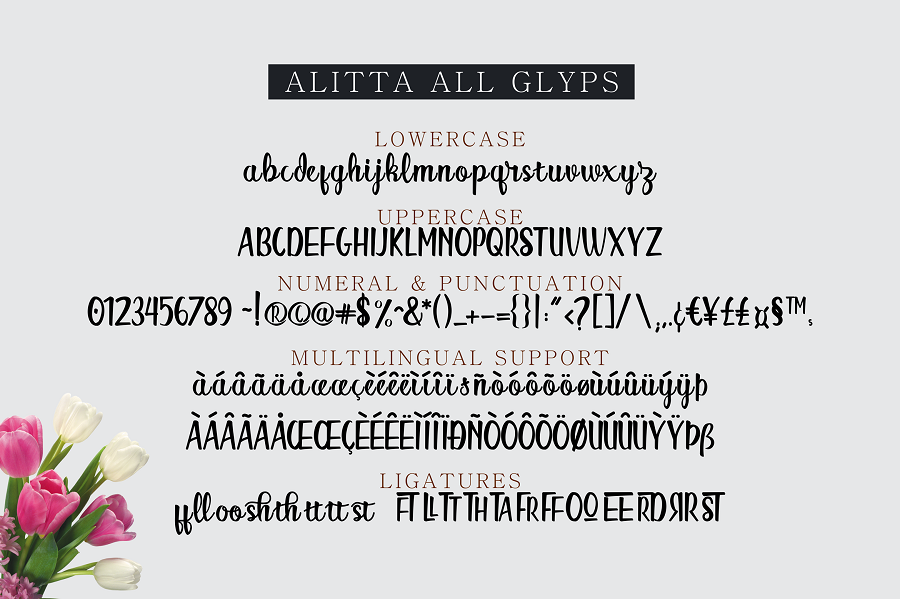 Alitta Script Font Demo