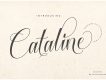 Cataline Script Font Demo