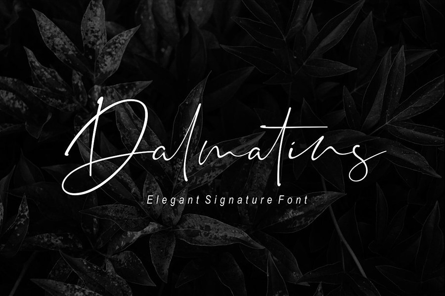Dalmatins Signature Free Demo