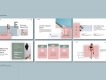 Enable Free Presentation Template