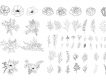 Hand-drawn Floral Vector Collection
