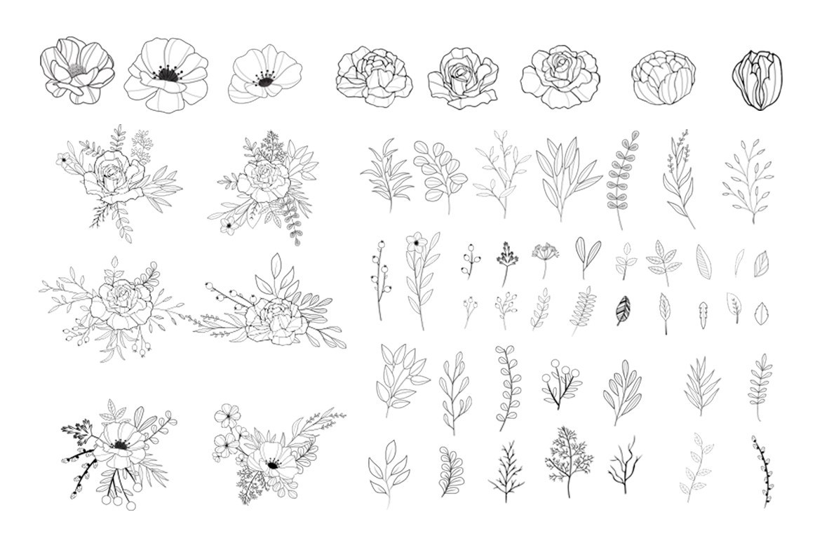 Hand-drawn Floral Vector Collection
