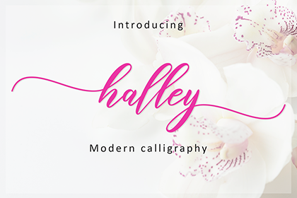 Halley Modern Calligraphy