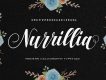 Nurillia Calligraphy Script Font