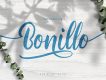 Bonillo Handlettering Script