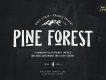 Pine Forest Outdoor Typeface