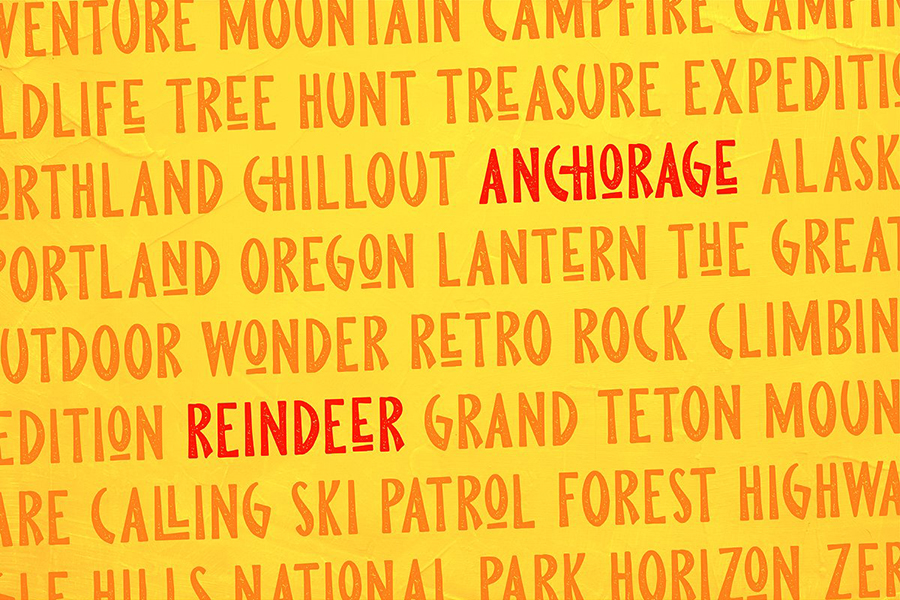 Pine Forest Outdoor Typeface