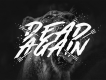 Made By Bears Display Font