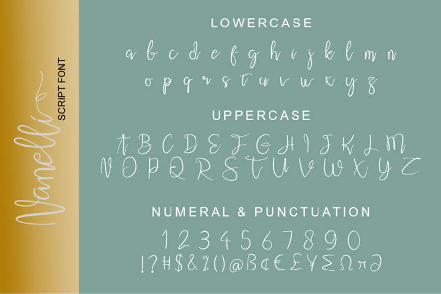 Nanelli Modern Script Demo