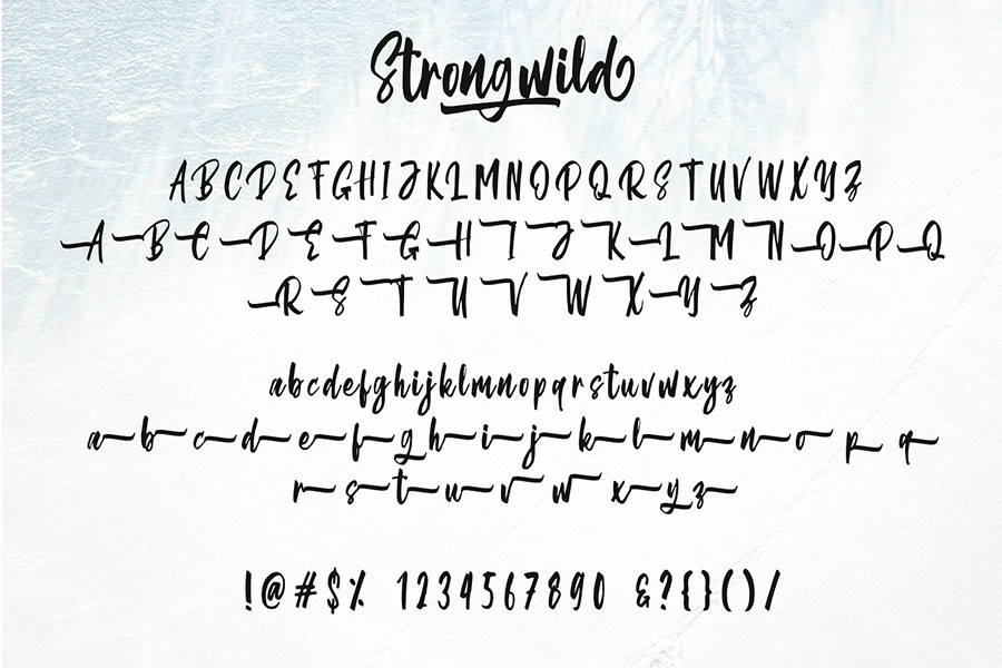 Strongwild Handwritten Brush Font