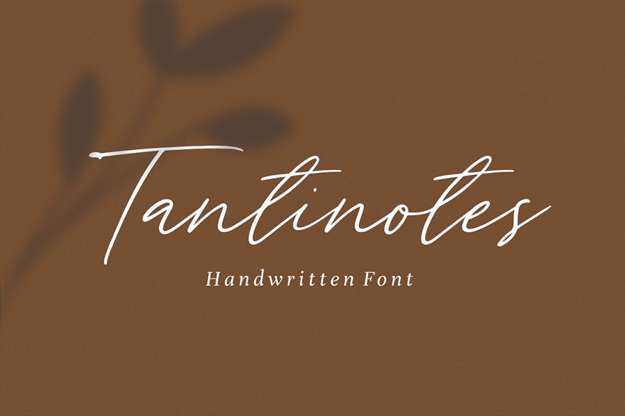 Tantinotes Handwriting Script