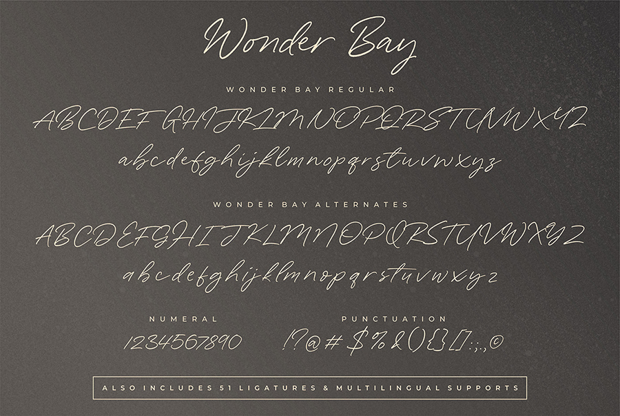 Wonder Bay Script Demo