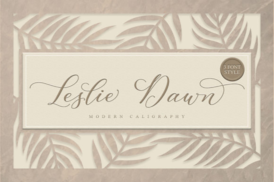 Leslie Dawn Modern Calligraphy
