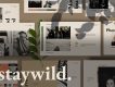 Staywild Presentation Template