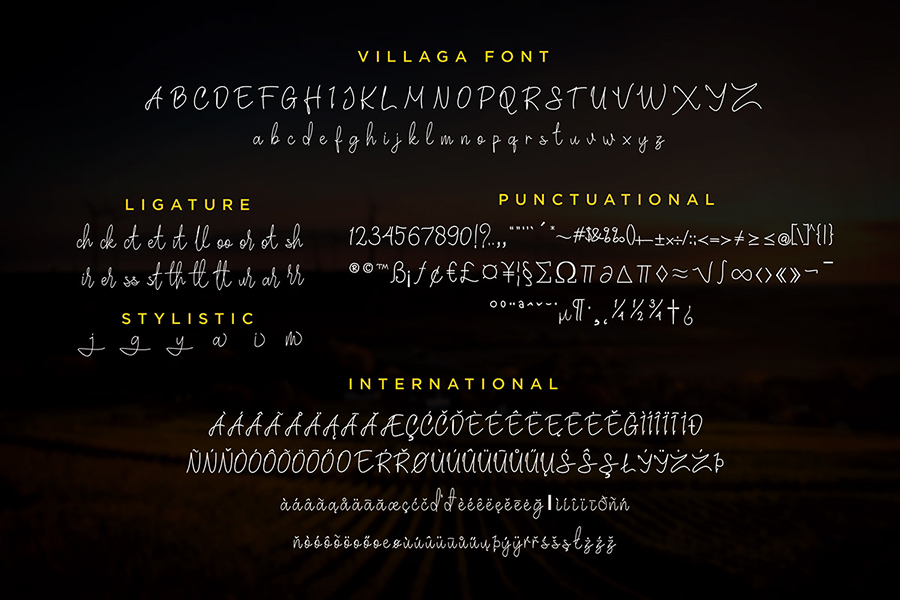 Villaga Stylish Signature Font