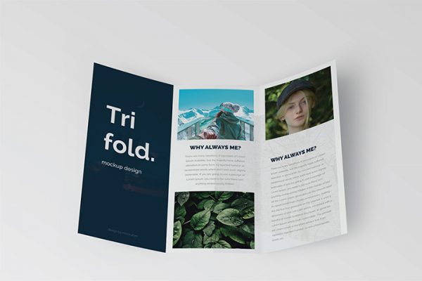 Trifold Brochure Mock-Up Set