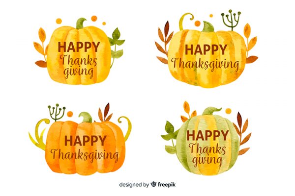 Happy Thanksgiving Pumpkin Vector