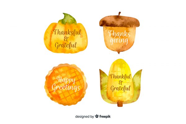 Thanksgiving Watercolor Elements Graphic