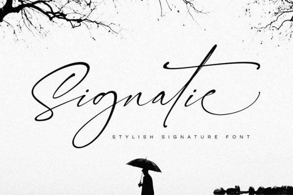 Free Signatie Stylish Signature Font