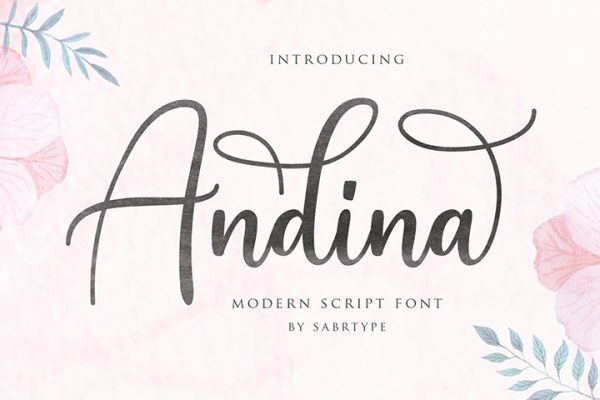 Demo Andina Script Font