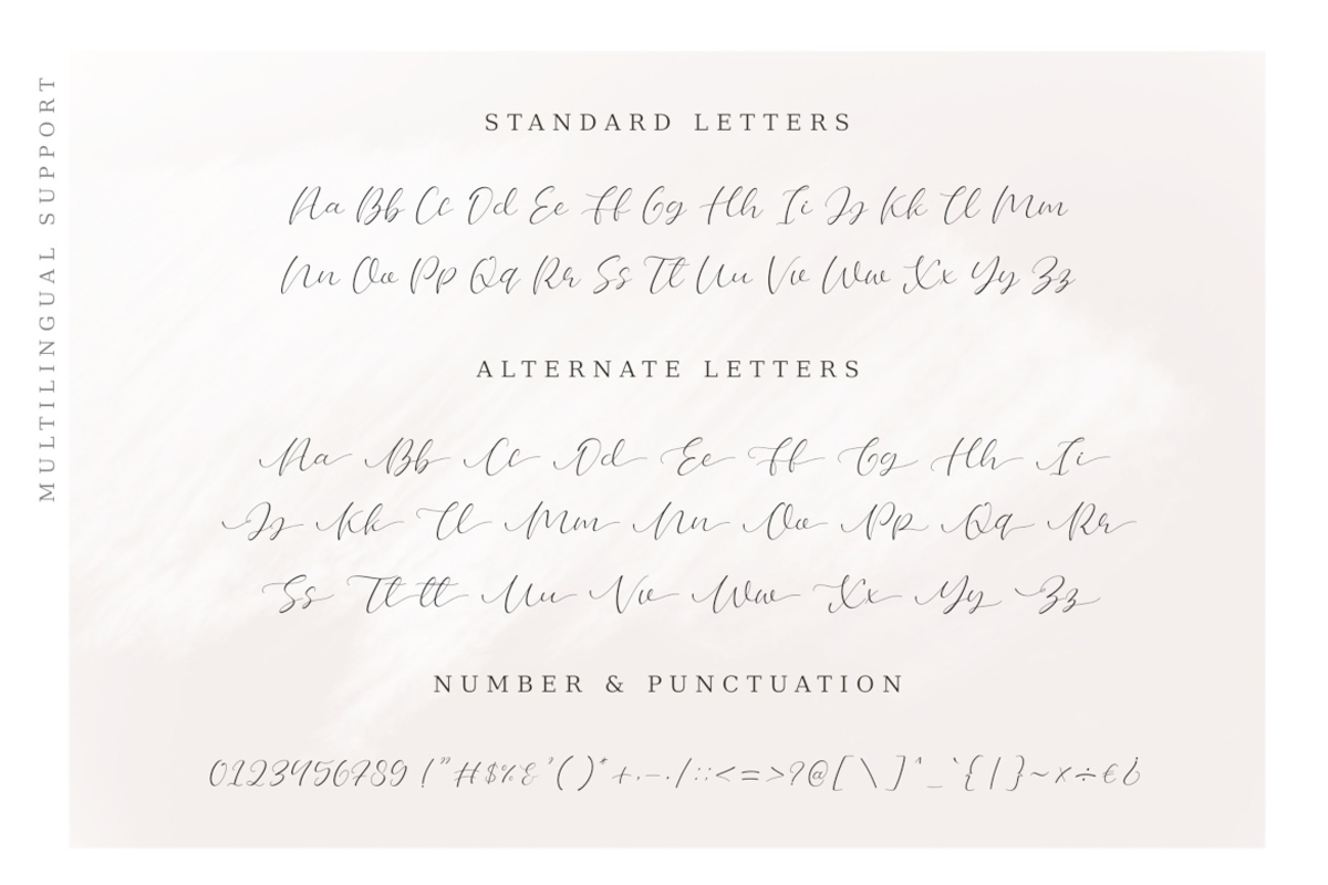 Brandly script font modern (382605)