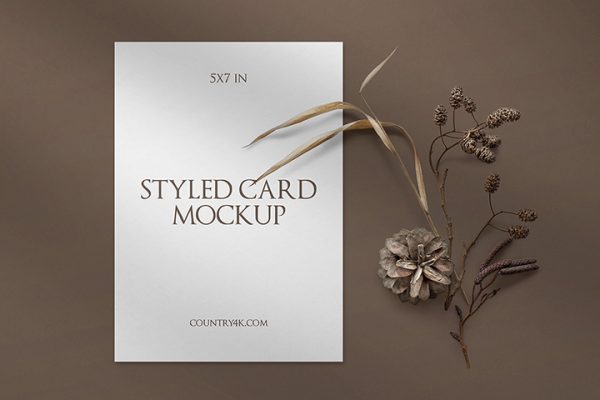 Free Styled Card Mockup