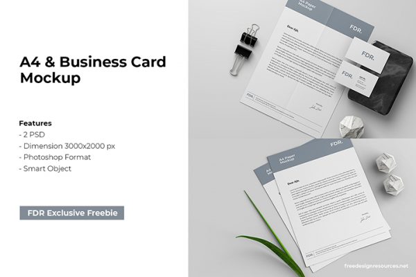 A4 and Business Card Mockup