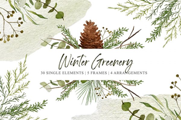 Winter Greenery Watercolor Pack