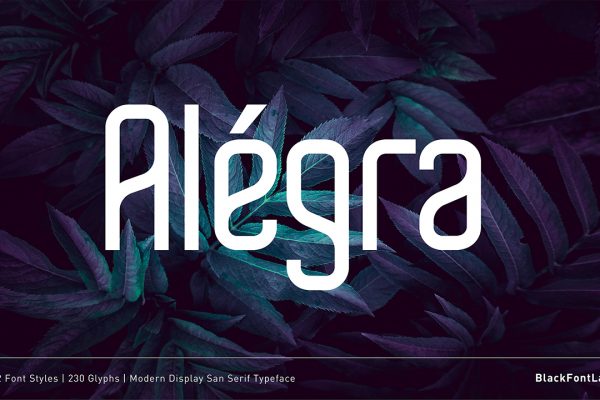 Alégra - Modern Display Font