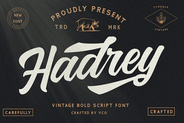 Hadrey Vintage Bold Script