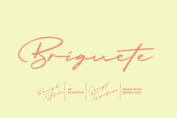 Briquette - Natural Brush Font