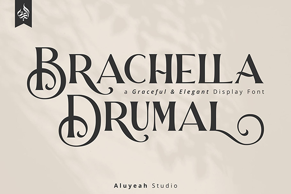 Brachella Drumal Display Font