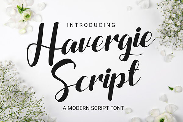 Havergie Modern Brush Script