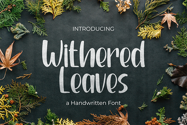Withered Leaves Display Font