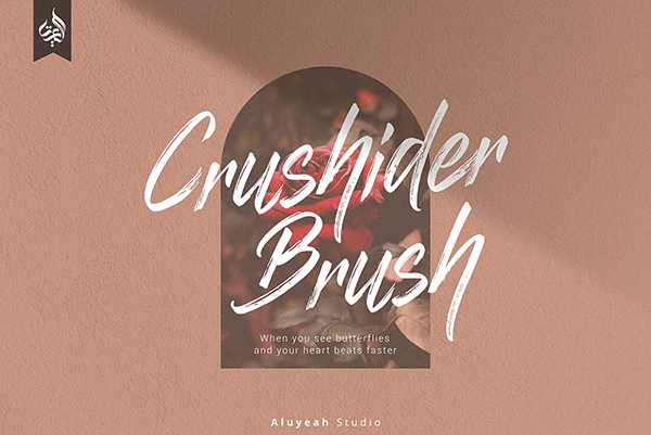 Crushider Free Brush Font