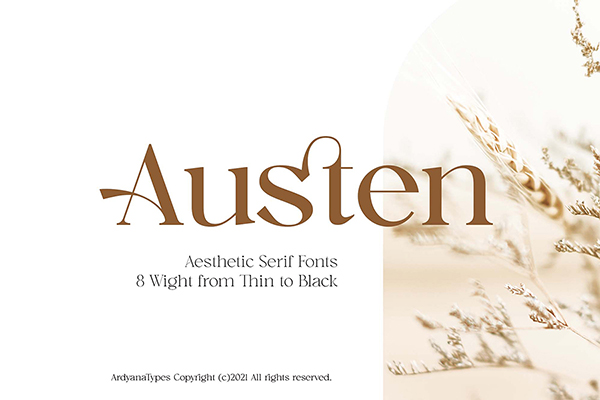 Austen Aesthetic Serif Font