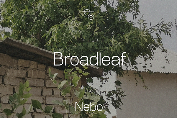 Broadleaf - Display Font