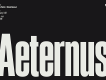 Aeternus Variable Typeface
