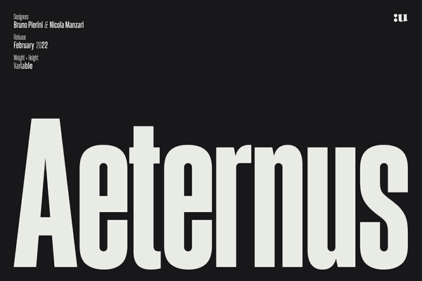 Aeternus Variable Typeface
