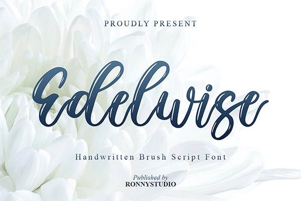 Edelwise Modern Script Font