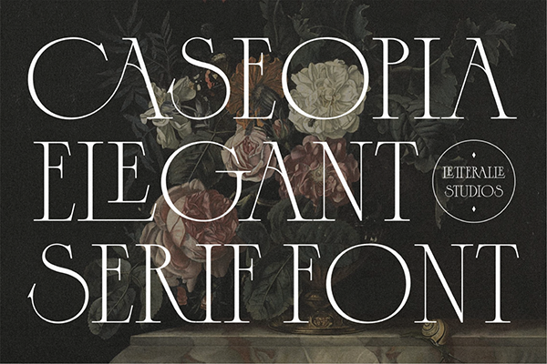 Caseopia Display Serif Font