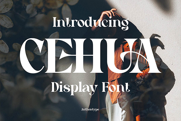 Cehua Elegant Serif Font