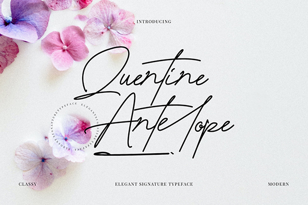 Quentine Antelope Signature Font