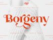 Borgeny Modern Classy Serif