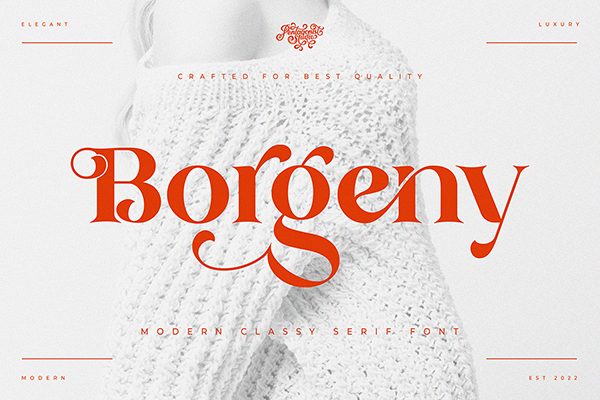Borgeny Modern Classy Serif