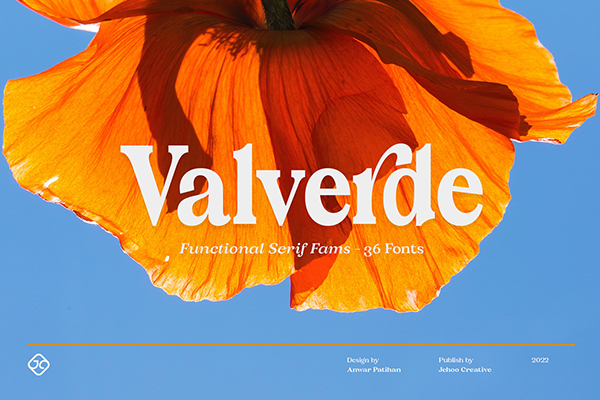 Valverde Functional Serif