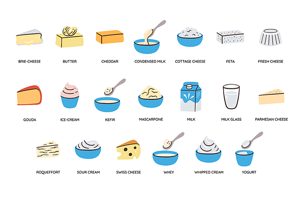 Dairy Products Food Icon Set