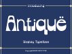 Antique - Unique Display Typeface